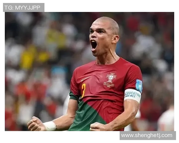 努力拼搏成就传奇十大足球球星的奋斗历程与不屈精神